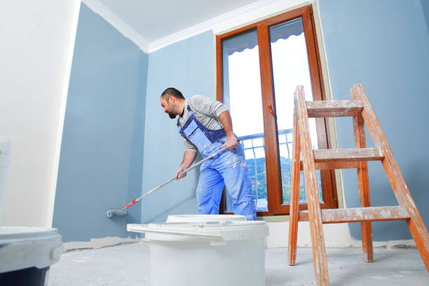 Best Basement Mold Removal  in Wheaton, MD