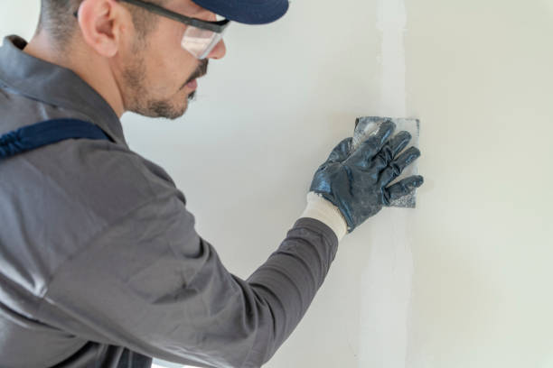 Best Emergency Mold Remediation  in Wheaton, MD