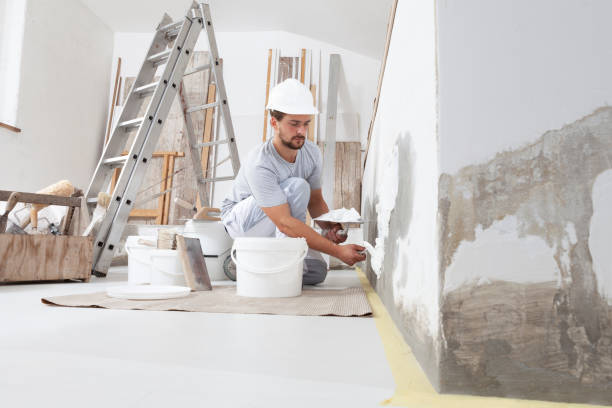  Wheaton, MD Mold Removal Pros