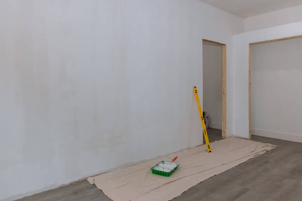 Best Attic Mold Removal  in Wheaton, MD