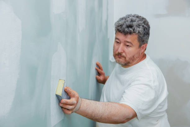 Best Mold Prevention Services  in Wheaton, MD