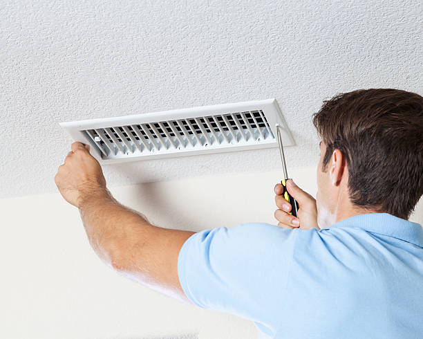 Best Mold Damage Restoration  in Wheaton, MD