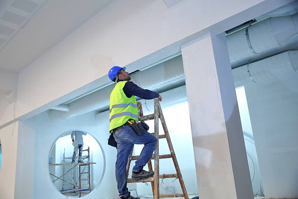 Best Environmental Consulting for Mold Prevention  in Wheaton, MD